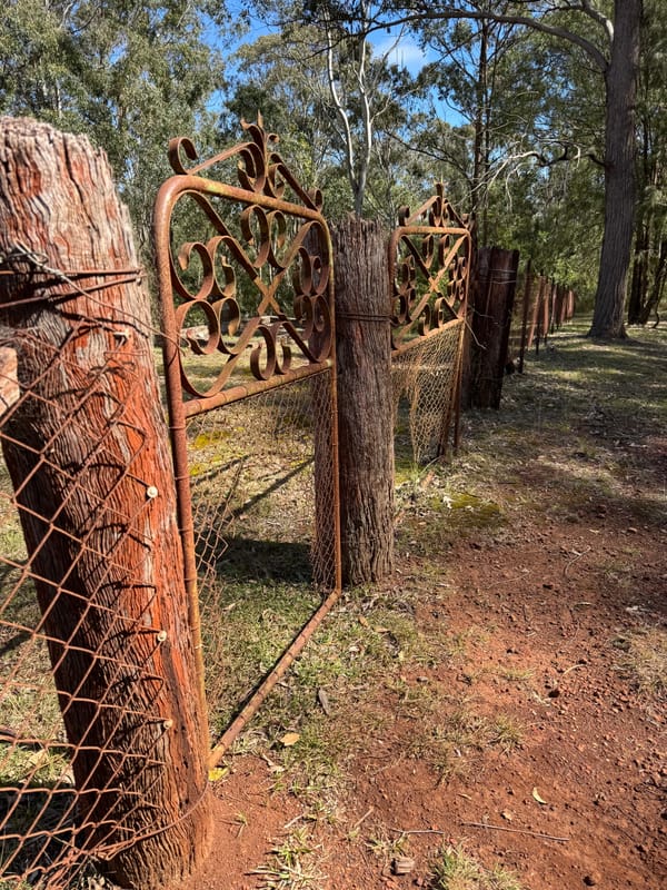Rusted gate, wire fence. Shut, but the gate has clipped holes in it.